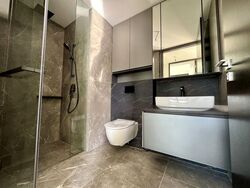 Irwell Hill Residences (D9), Apartment #458831091